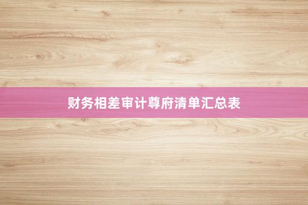 财务相差审计尊府清单汇总表
