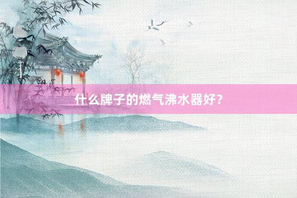 什么牌子的燃气沸水器好？