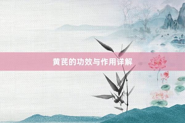 黄芪的功效与作用详解